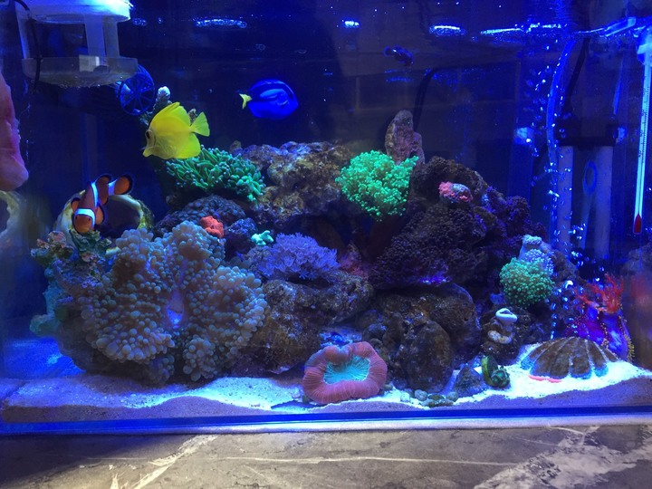 aquaeri濾水器開箱文!