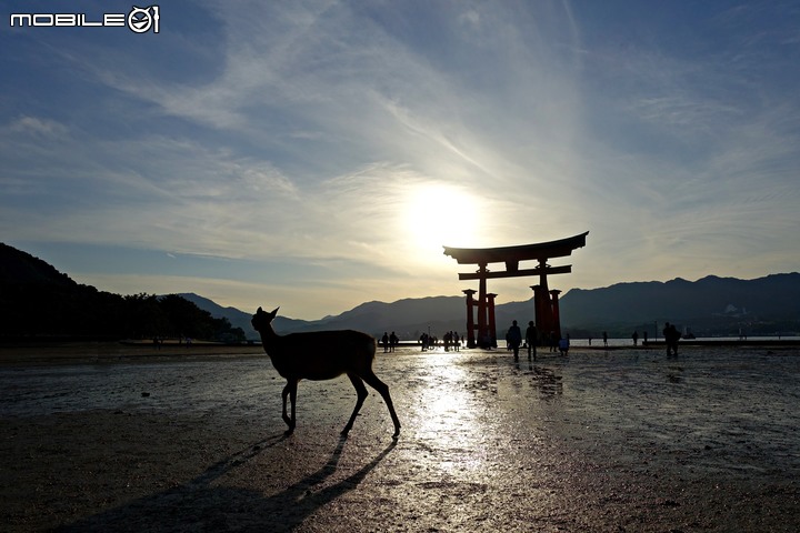 宮島嚴島神社、海上鳥居