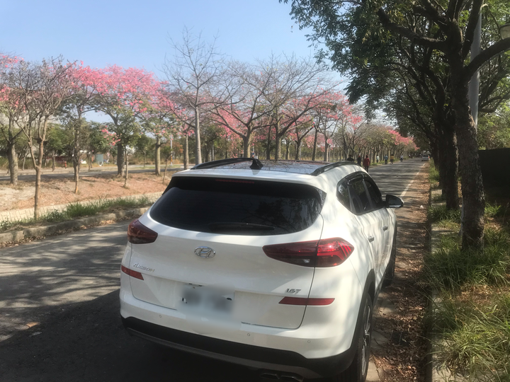 獻給猶豫貼南亞隔熱紙的朋友(南亞隔熱紙開箱分享,前擋A9/車身TOUGH/全景天窗A9)