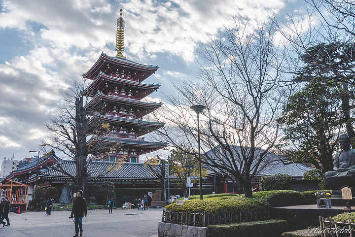 【D750】一年心得回顧
