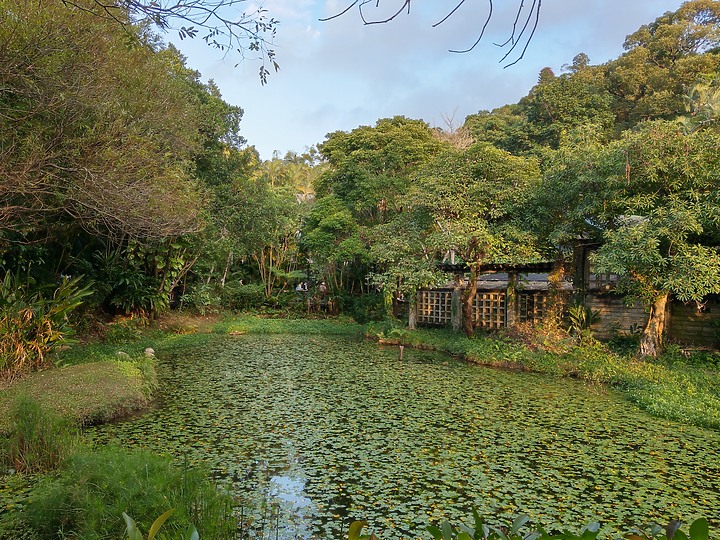 台北士林官邸菊花展
