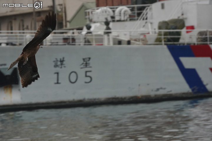 《Sony RX10 IV野生動物攝影大賽》試用活動-一次過程不完美卻是夢寐以求的攝影經驗