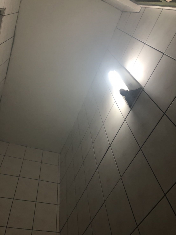 問世間情為何物 直教人生死相許
