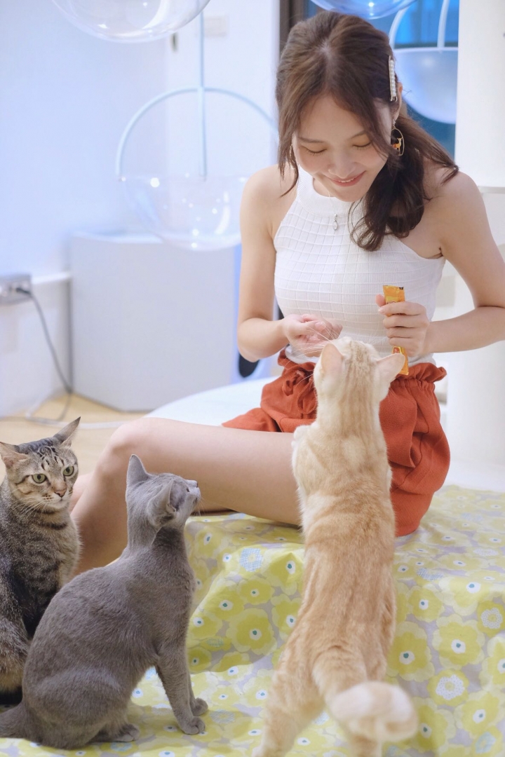 正妹 讓世界更和平