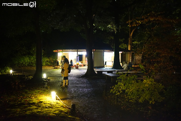 [a7R & FE35] 重拾熱情之一機一鏡輕旅行 - 東京 六義園夜楓 x 銀杏隨手拍