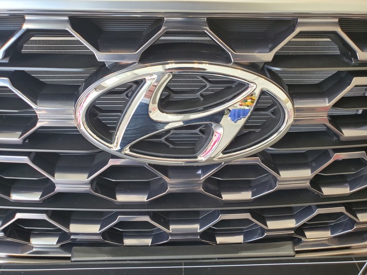 [靜態賞車] 進口身份的第4代Hyundai Santa Fe 5+2七人座休旅 大地銅色