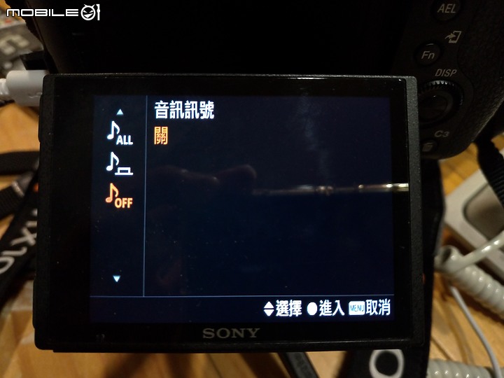 野生動物在我家 ∣ SONY RX 10 IV 體驗分享