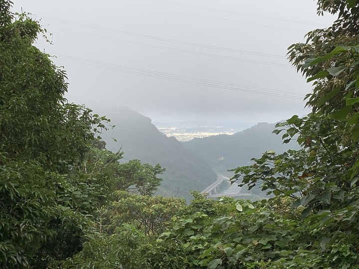 【樟之細路】(左線)出雲古道-十分崠茶亭,原始森林、山嵐美景相伴 (上)