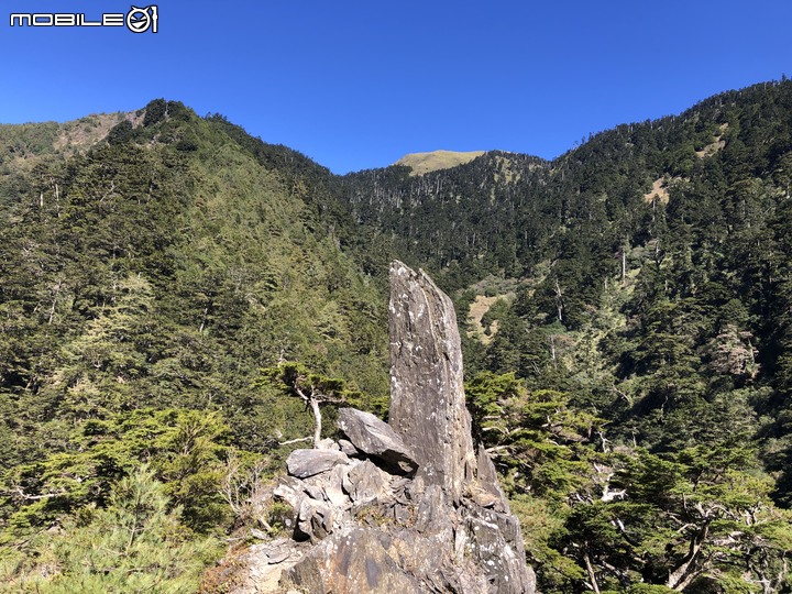20191130 MTB 梨山+華崗+合歡溪林道