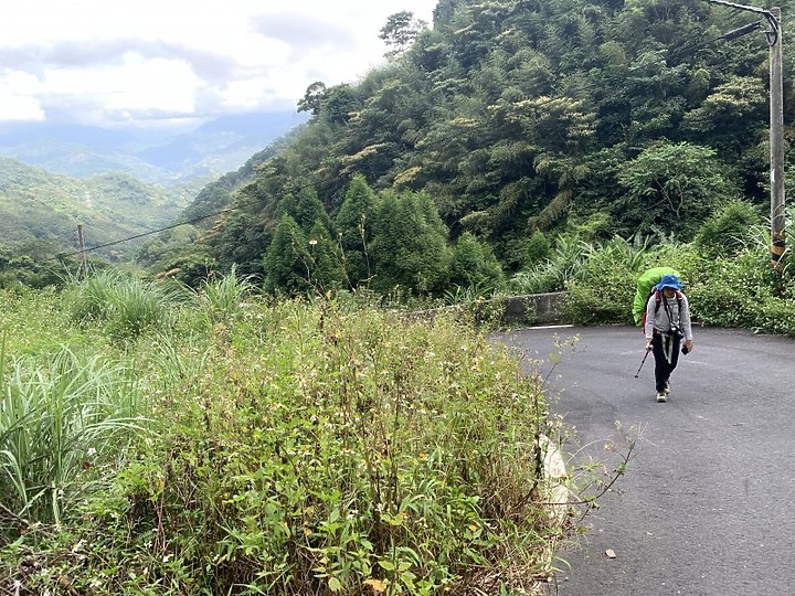 【樟之細路】(左線)出雲古道-十分崠茶亭,原始森林、山嵐美景相伴 (上)