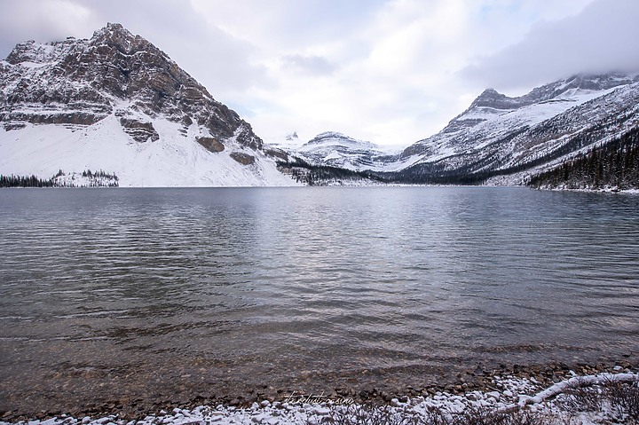 【班夫國家公園】Bow Lake 冰原大道旁探訪弓湖倒影之美 冬季裡的巨大白色沙漠