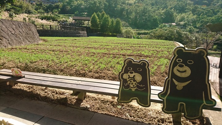 [樂山童盟] [新北新店] 銀河洞越嶺步道(銀河洞-貓空纜車站-樟樹步道-樟湖步道)-很有趣的聖杯造型路線