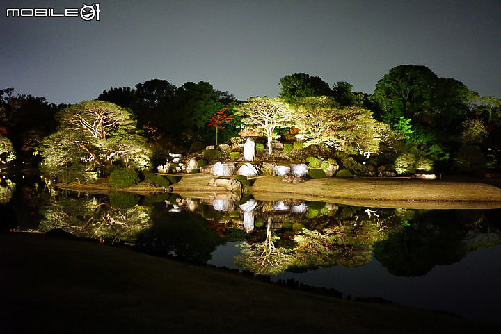 [a7R & FE35] 重拾熱情之一機一鏡輕旅行 - 東京 六義園夜楓 x 銀杏隨手拍