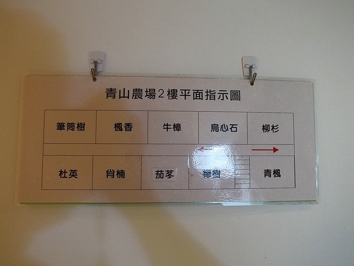 臺東 太麻里 青山農場民宿 — 由金針工廠變身的民宿農場,欣賞太麻里金針花的最佳住宿點