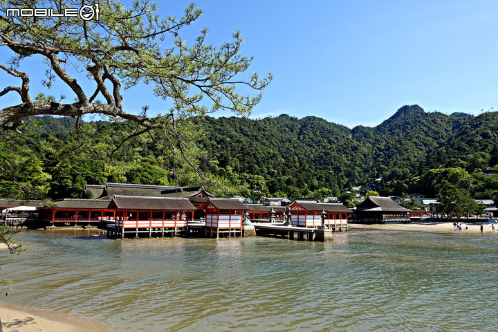宮島嚴島神社、海上鳥居
