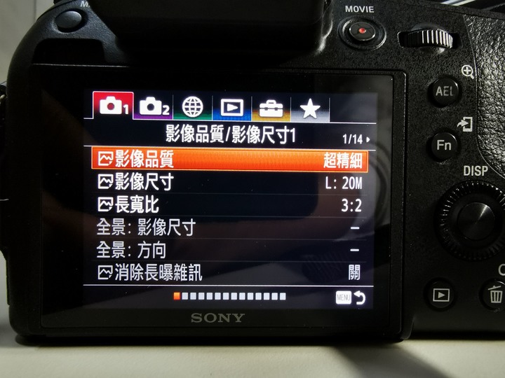點我看大圖 《SonyRX10 IV野生動物攝影大賽》試用心得