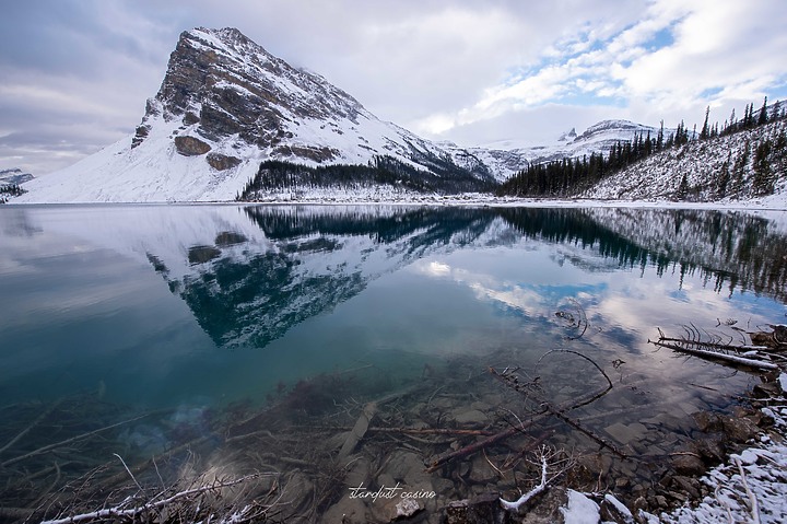 【班夫國家公園】Bow Lake 冰原大道旁探訪弓湖倒影之美 冬季裡的巨大白色沙漠