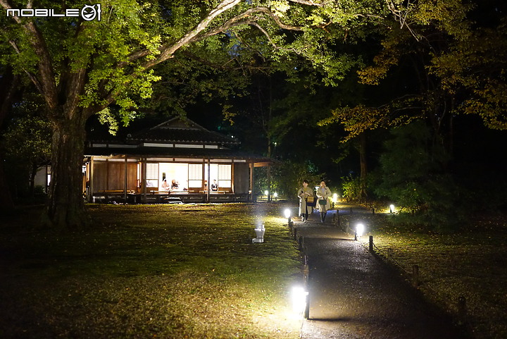 [a7R & FE35] 重拾熱情之一機一鏡輕旅行 - 東京 六義園夜楓 x 銀杏隨手拍