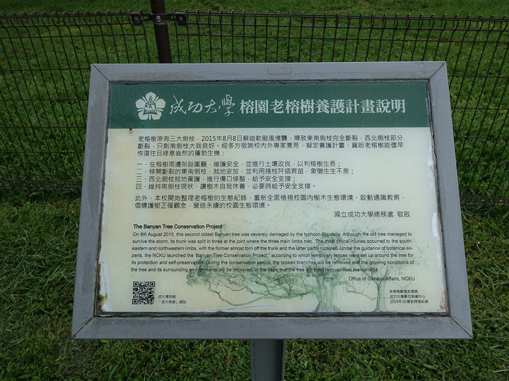 臺南市 東區 原日軍臺灣步兵第二聯隊營舍|禮賢樓、大成館及舊文學院館,外掛成功湖與榕園大榕樹 - 日治時期最南端陸軍前進基地