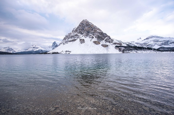 【班夫國家公園】Bow Lake 冰原大道旁探訪弓湖倒影之美 冬季裡的巨大白色沙漠