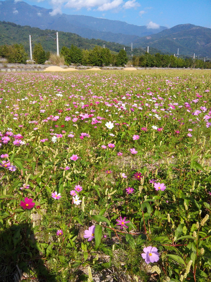 點我看大圖