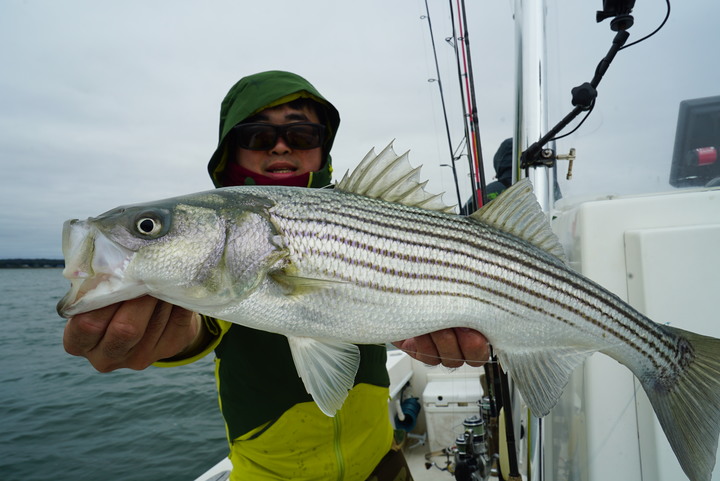 Fishing Traveler (環球釣者) - [淡水河107cm 海鱸 VS 美國巨鱸]夢幻巨海鱸之旅 Day 2 - 與世界第一傳奇釣手，釣魚之神Mike iaconelli的海鱸之旅