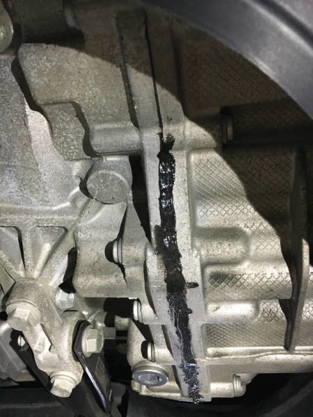 DSG DQ250 滲油 DIY維修與洗車