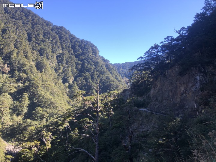 20191130 MTB 梨山+華崗+合歡溪林道