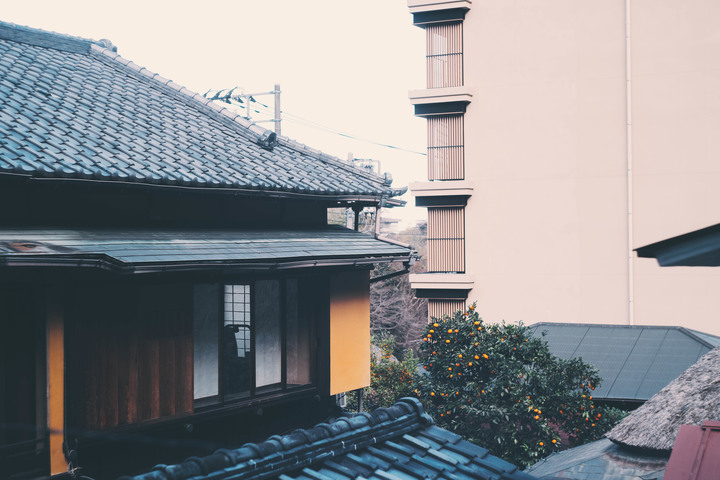 2019改變攝影心態的東京自助之旅，非觀光行程，圖多