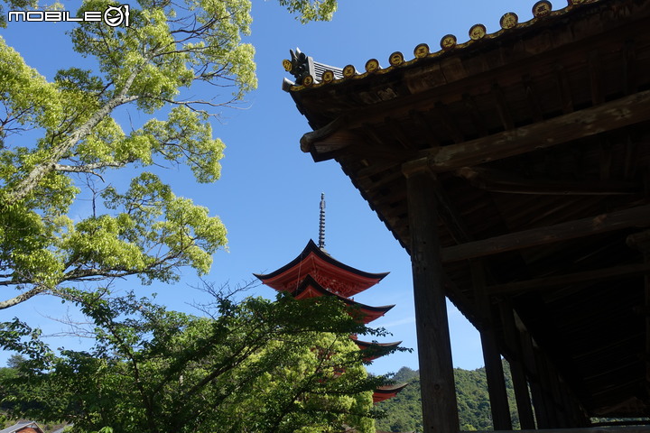宮島嚴島神社、海上鳥居