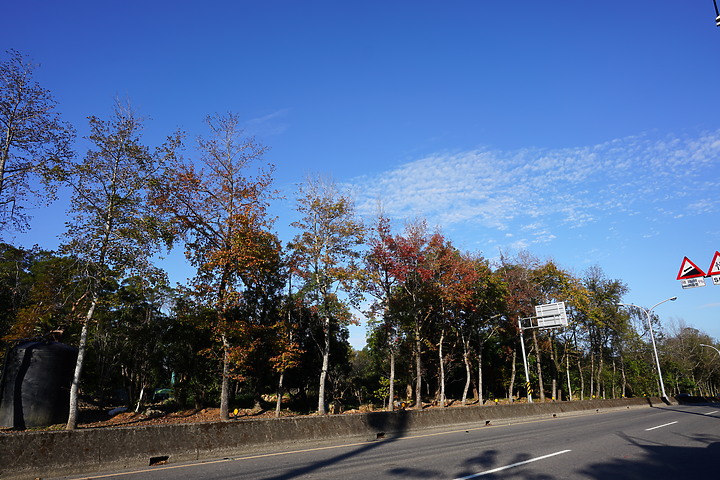 Tamron 24mm F/2.8 Di III OSD M1:2(Model F051)評測報告|廣角微距 輕巧便攜!