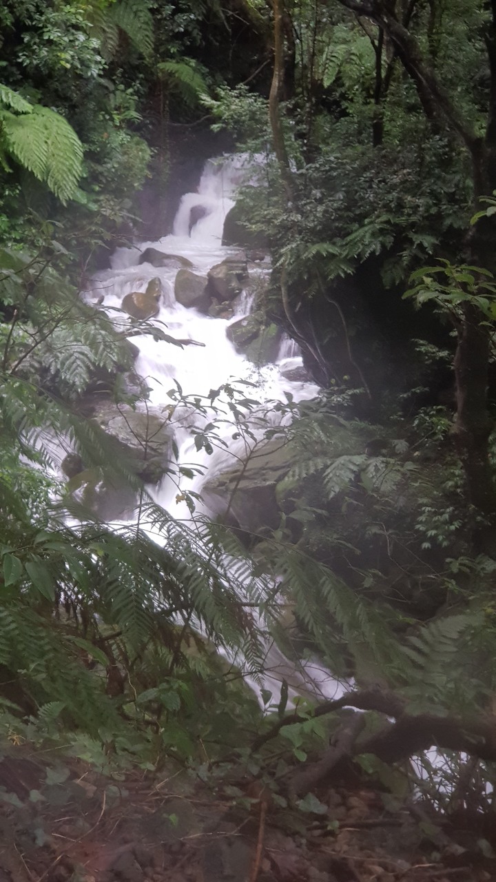 廢文  我的旅遊