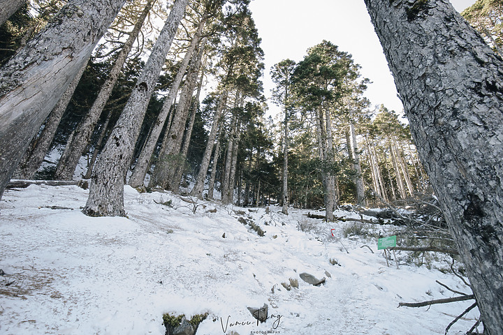 【雪山單攻】踏上雪國之巔~第四刷