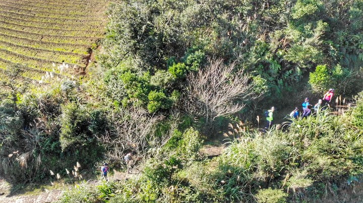 第三屆茶茶山徑越野