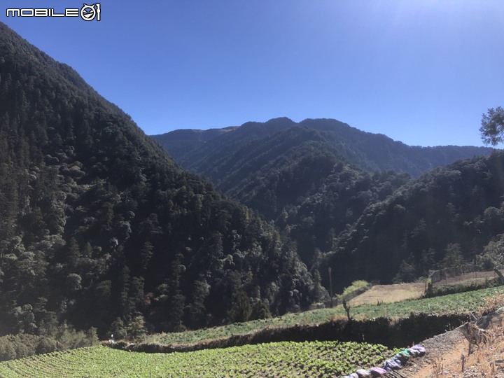 20191130 MTB 梨山+華崗+合歡溪林道