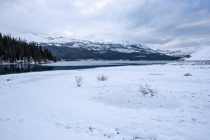 【班夫國家公園】Bow Lake 冰原大道旁探訪弓湖倒影之美 冬季裡的巨大白色沙漠