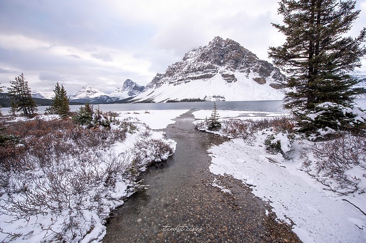 【班夫國家公園】Bow Lake 冰原大道旁探訪弓湖倒影之美 冬季裡的巨大白色沙漠