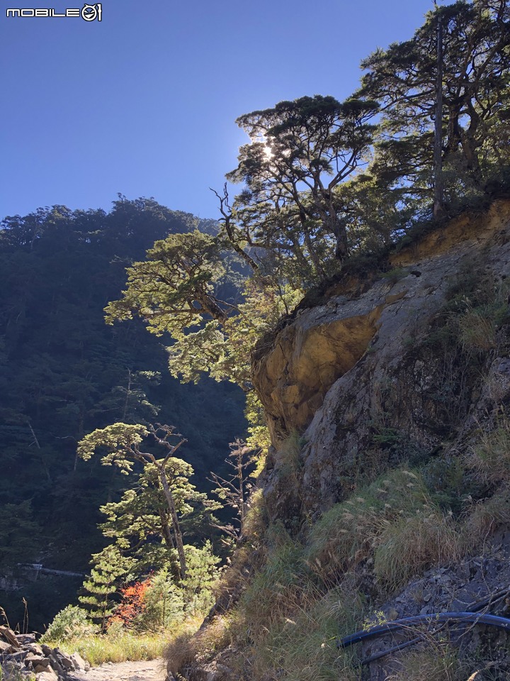 20191130 MTB 梨山+華崗+合歡溪林道