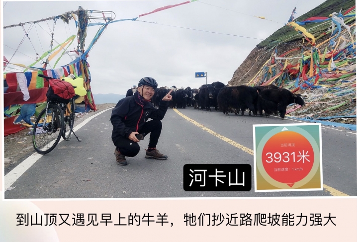 唐番古道之青海段骑行