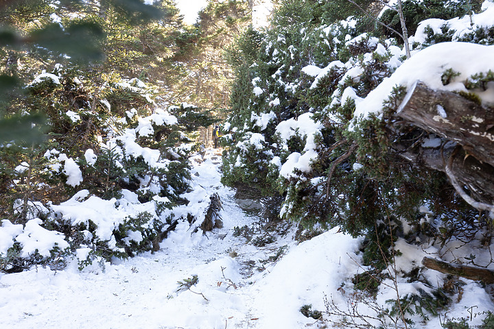【雪山單攻】踏上雪國之巔~第四刷