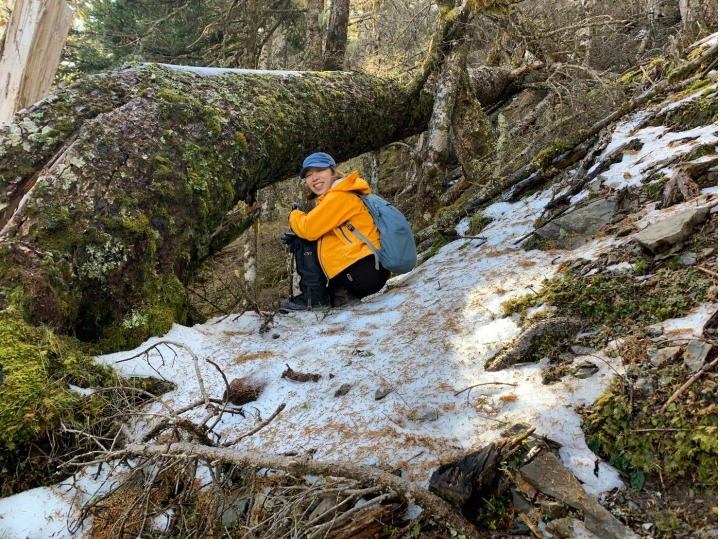 忽如一夜春風來 千樹萬樹銀花開 登峰造極 雪山圈谷