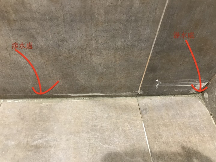 浴室壁面(靠地板處)滲水求救