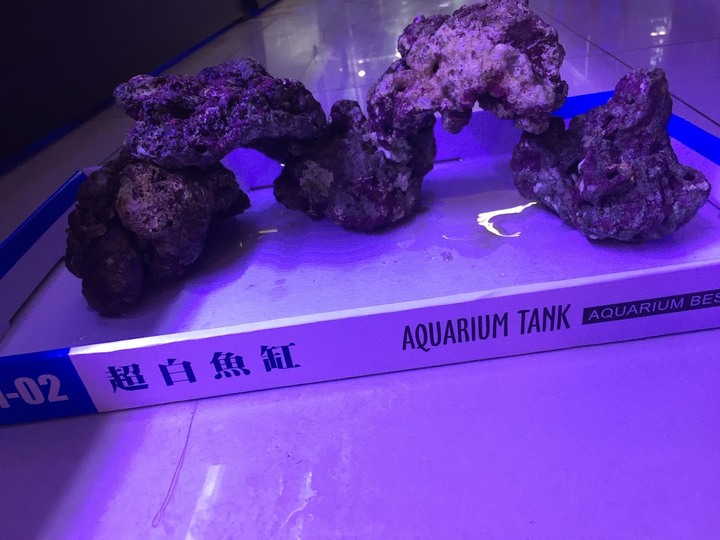 aquaeri濾水器開箱文!