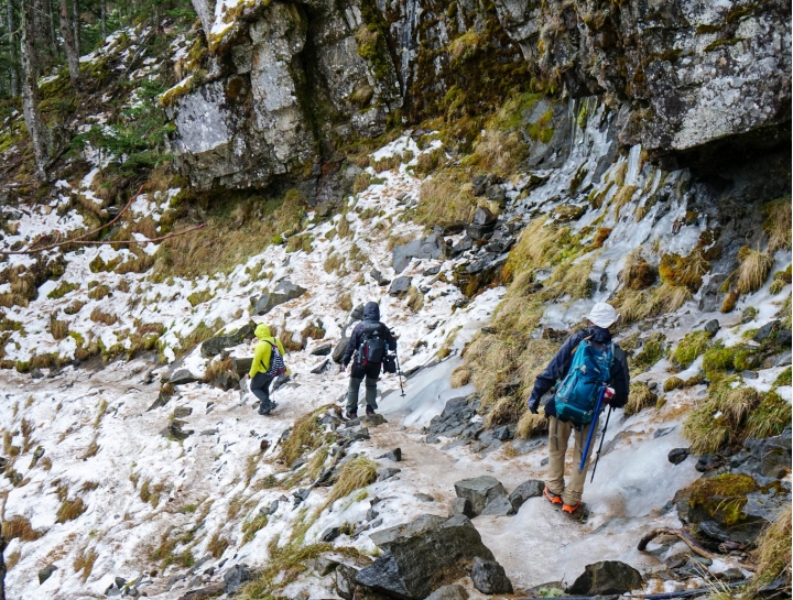忽如一夜春風來 千樹萬樹銀花開 登峰造極 雪山圈谷