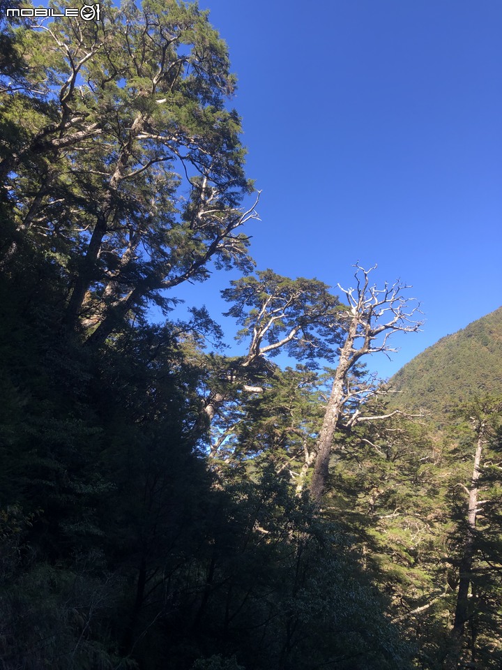 20191130 MTB 梨山+華崗+合歡溪林道