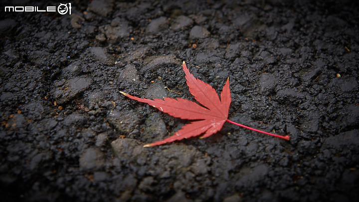 點我看大圖 秋醉金陵,再看南京