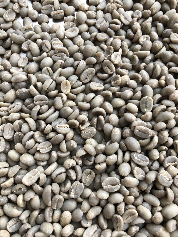 ［求救］第一次購買生豆 挑豆問題