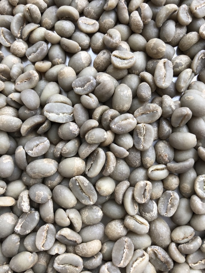 ［求救］第一次購買生豆 挑豆問題
