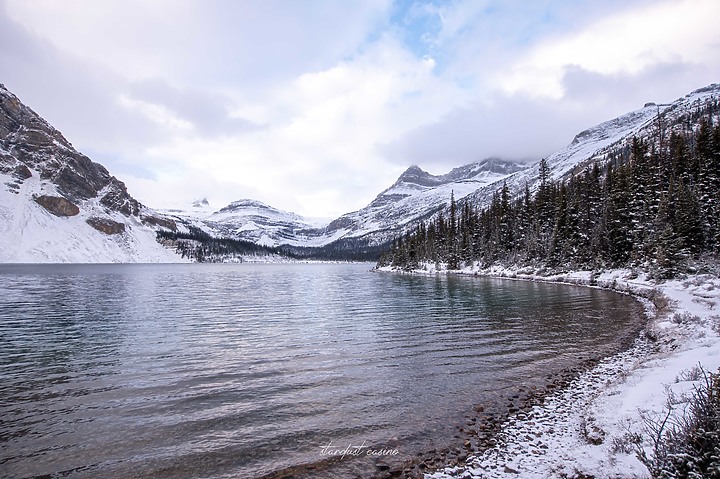 【班夫國家公園】Bow Lake 冰原大道旁探訪弓湖倒影之美 冬季裡的巨大白色沙漠