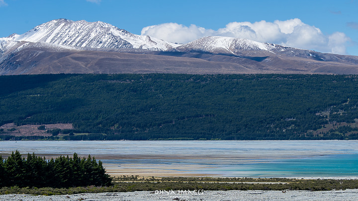 ++ OhYa ++ 紐西蘭。南島。初夏。NewZealand